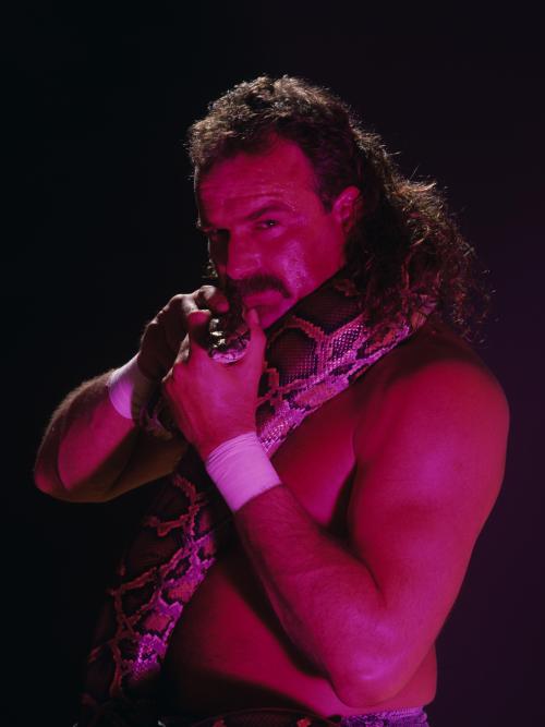 Jake The Snake Roberts