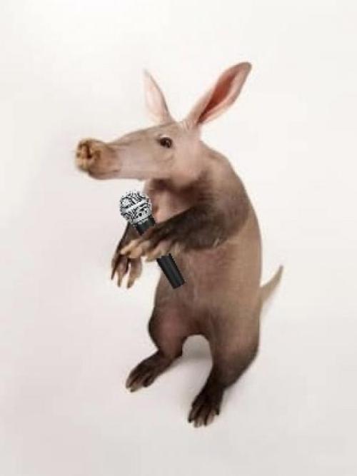 Aardvark Adams